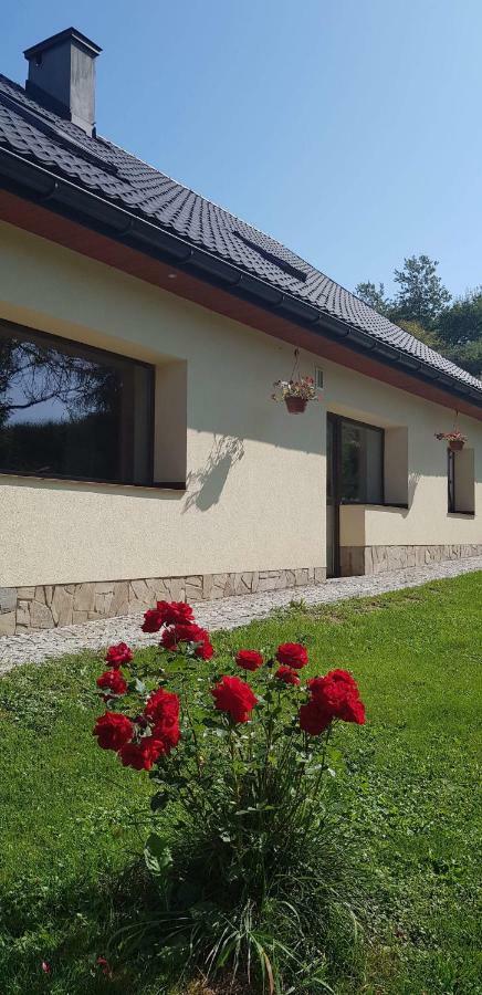 Ferienwohnung Powroznik 94 Muszyna Exterior foto